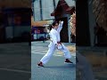 Gabdika shitoryukai  karate