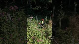 🌲 OEST BIOSYNT und OECOMIX 2T das perfekte Duo für den Forst 🌲