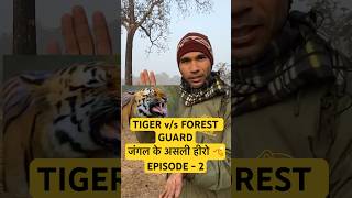 🐅Tiger ने किया Attack! Forest Guard की जान बची 😱 Real Charge #wildlife #tigerspotted #real #story