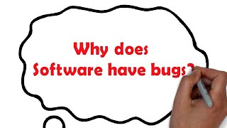 Why does software have bugs?