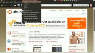 ubuntu compiz window maximize bug