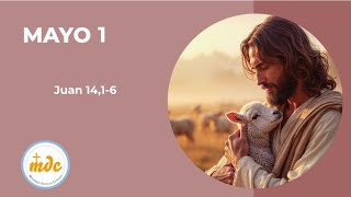 Juan 14, 1-6 - Evangelio del día - Padre Luis Zazano