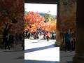 京都　紅葉の南禅寺 2　Nanzenji Temple in Kyoto during the autumn foliage season