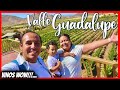 Video de Valle de Guadalupe