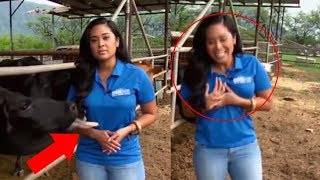 funny news bloopers news fails on live tv 6