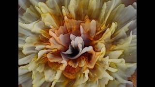Check out what a grid can do for Resin 3D Bloom