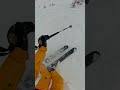 Skiing in a minefield of sharks... #skiing #powder #pov #snow #freeride #alps #ski #freeriding