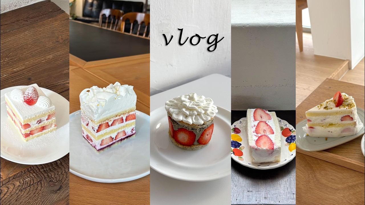 vlog |후암동 느좋 신상카페(토스트커피하우스,로헬그)🍛퓨전요리 윤요연,영화 왕과사는남자🎬원없이먹는 딸기케이크🍰(호풀리,필요의방,으믐,클로드,301h)컬리n마트로 룩트모닝☀️