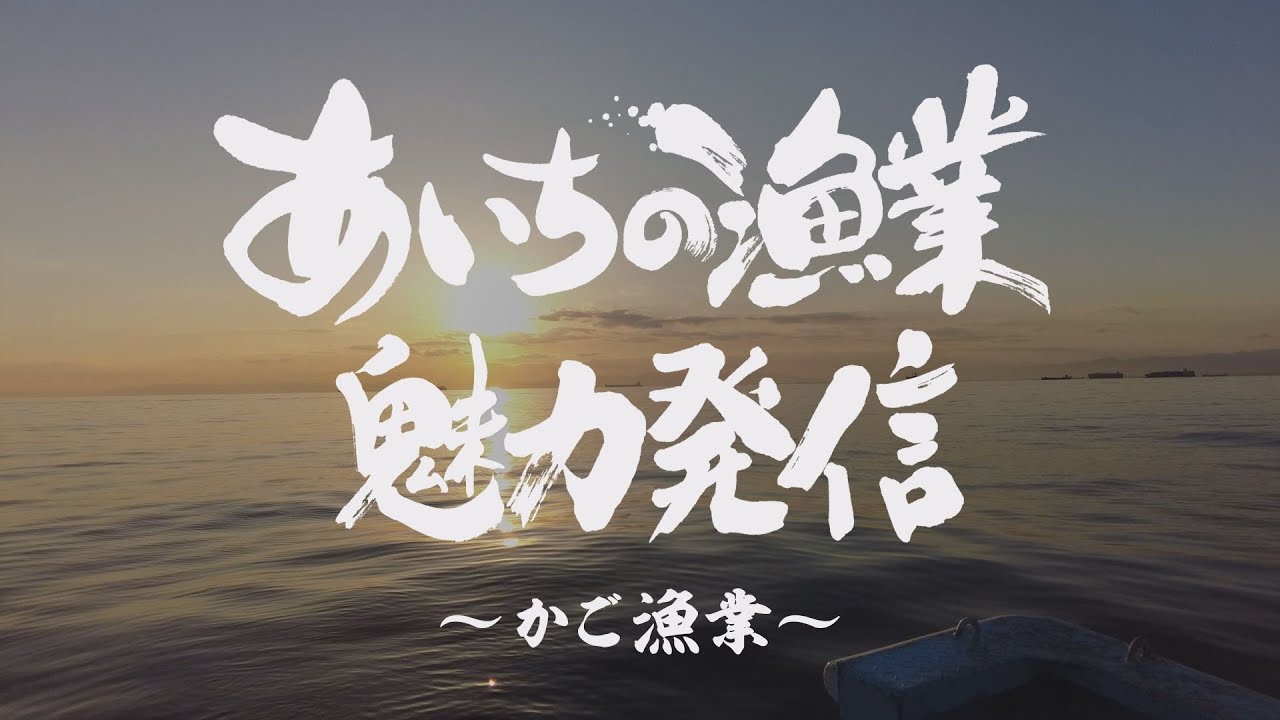 あいちの漁業魅力発信～かご漁業～