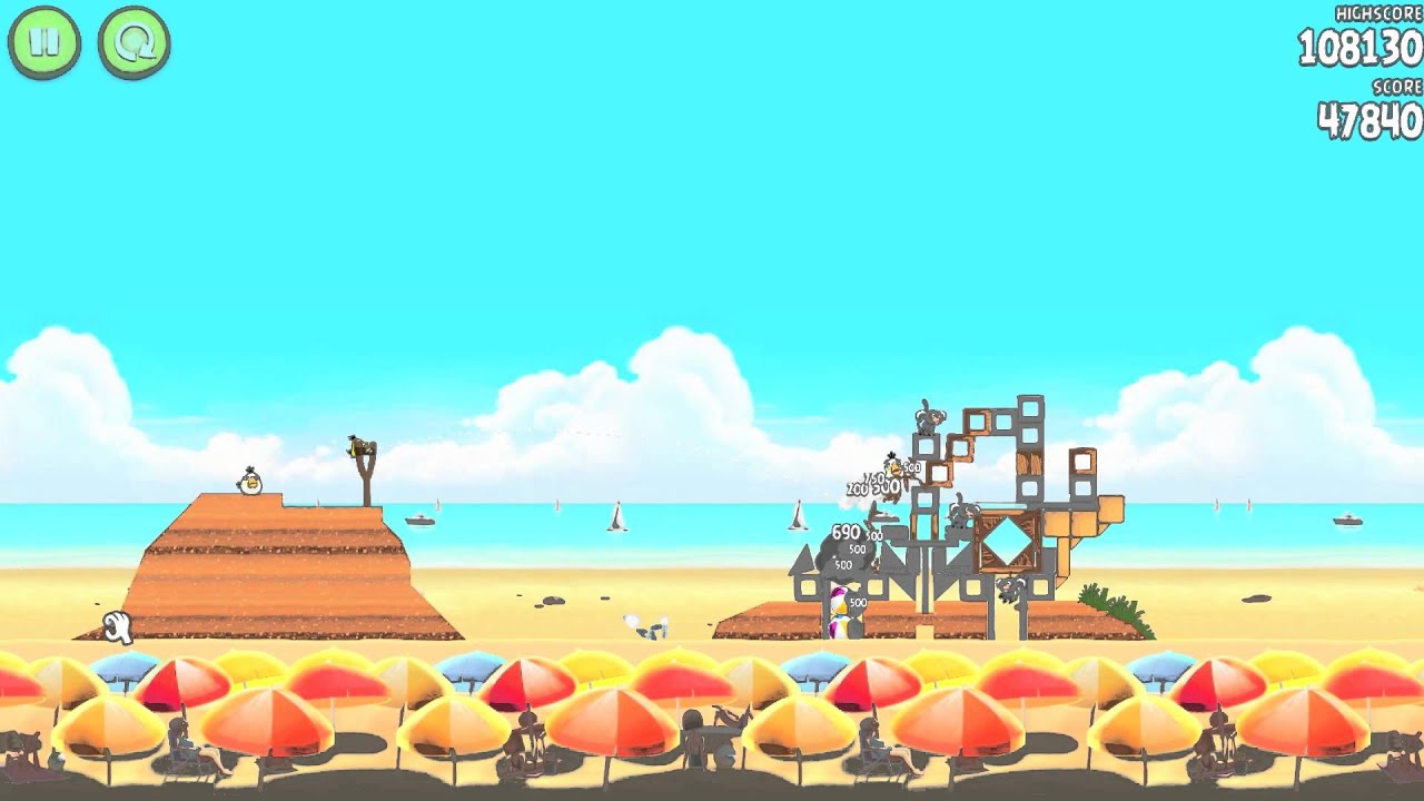 Birds Birds