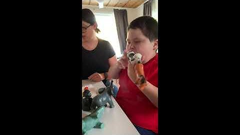 Reading Go Book - Proloquo2go