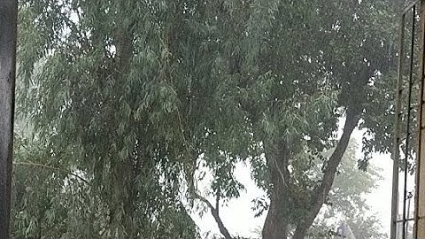 بہاولنگر میں موسلا دھار بارش شروع