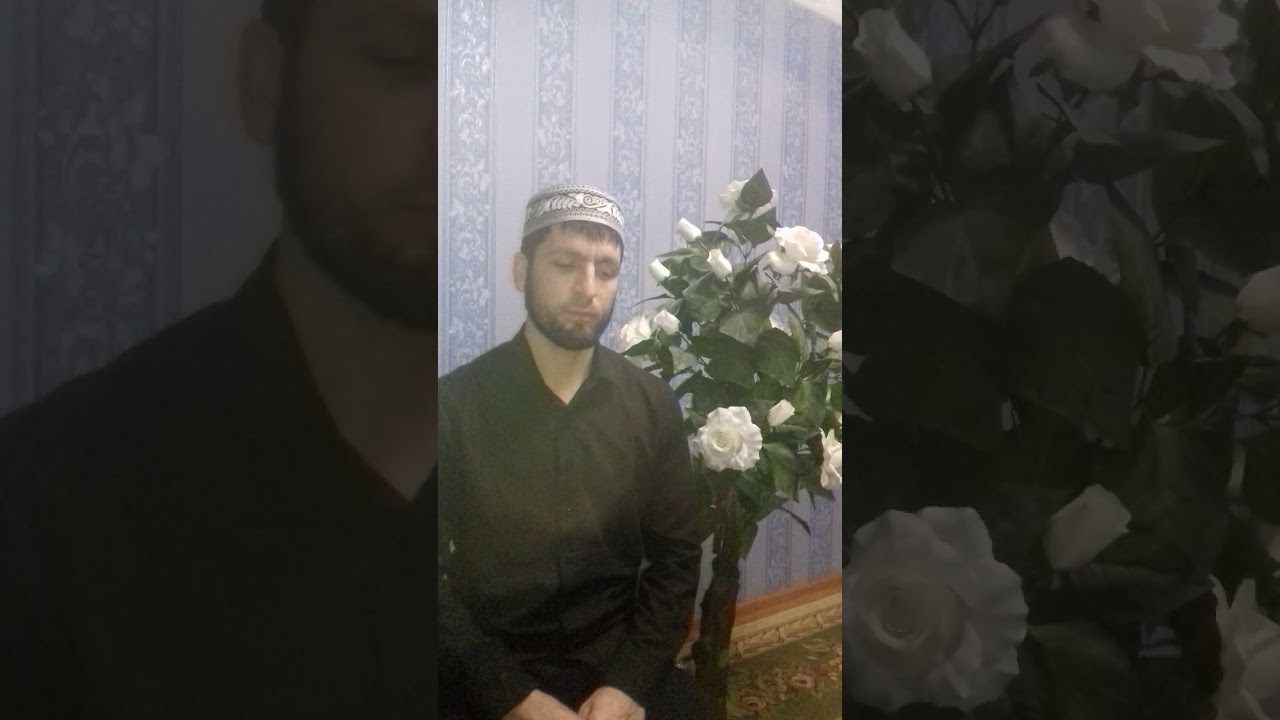 кори махмадсаид дион песни кори махмадсаид дион песни