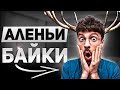 АЛЕНЬИ БАЙКИ: Отношения с РАЗВЕДЁНКОЙ с тремя ПРИЦЕПАМИ🦌