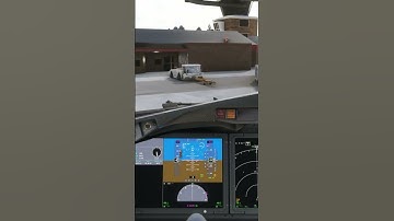 MSFS2020 marsheller on the roof??? iFly 737-MAX 8