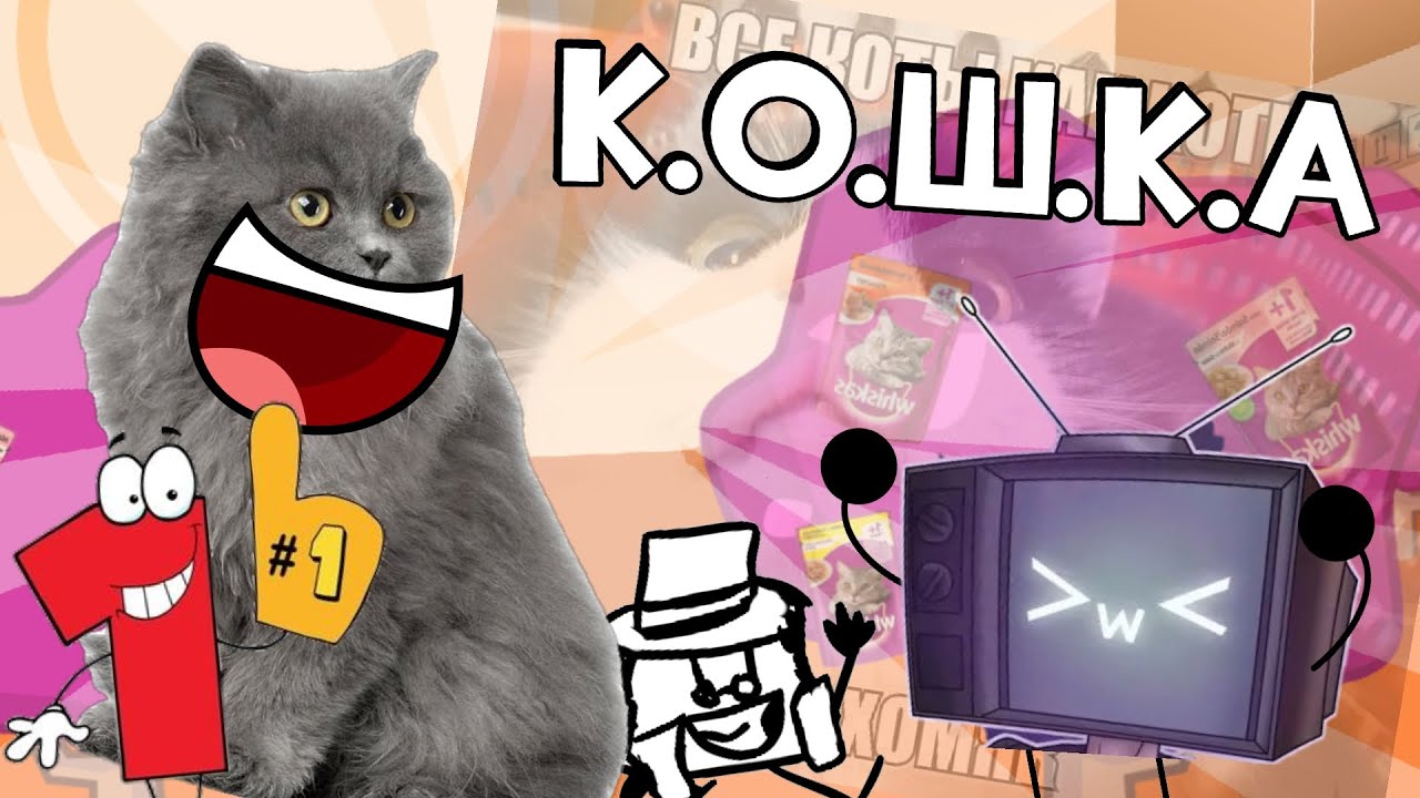 К.О.Ш.К.А. (1 Серия) : Обджект Шоу которое сделала кошка?