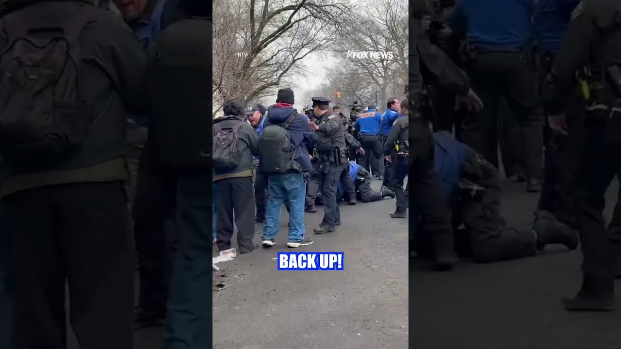 SHOCKING: New footage shows NYPD takedown of alleged terror bomber #foxnews #news #shorts #police