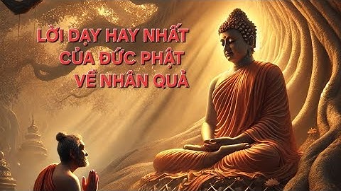 Nghiệp Báo – Quy Luật Nhân Quả Dưới Góc Nhìn Phật Giáo