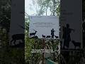 Bagepalli Gomala Conservation Project 