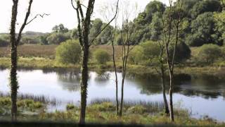 Nitb Empty Nesters 30