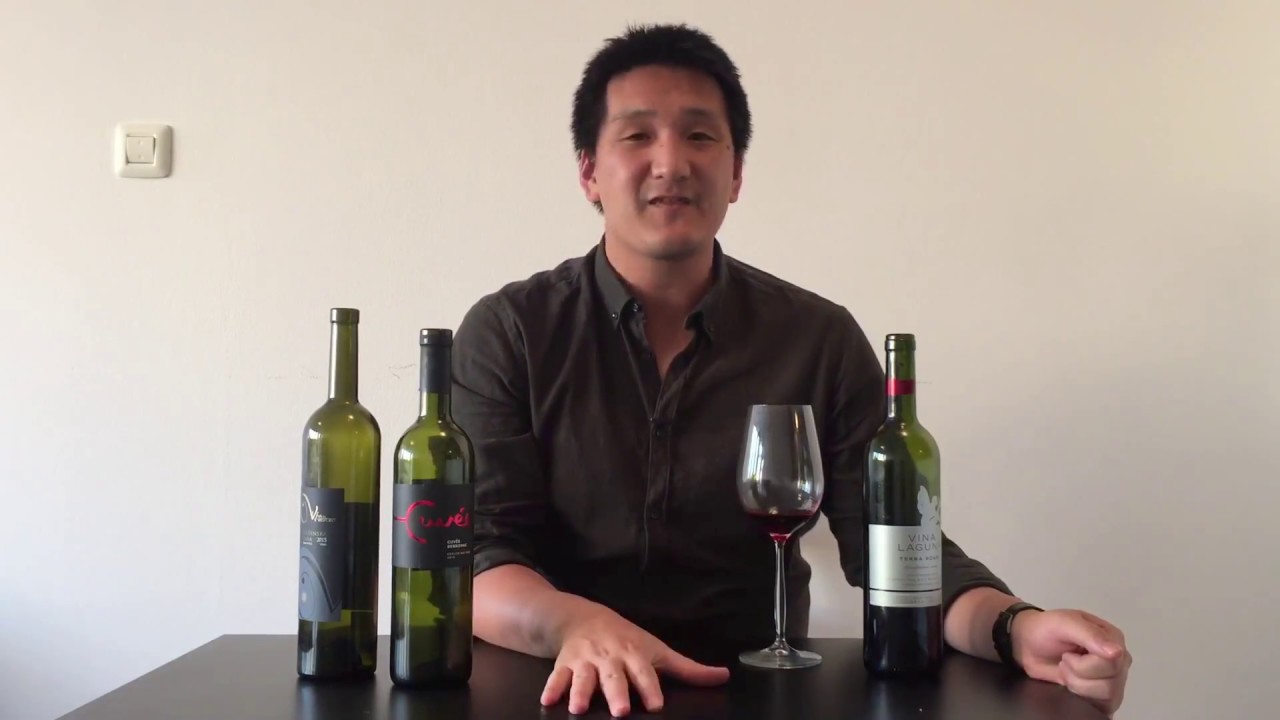 Value Driven Red Croatian Wine