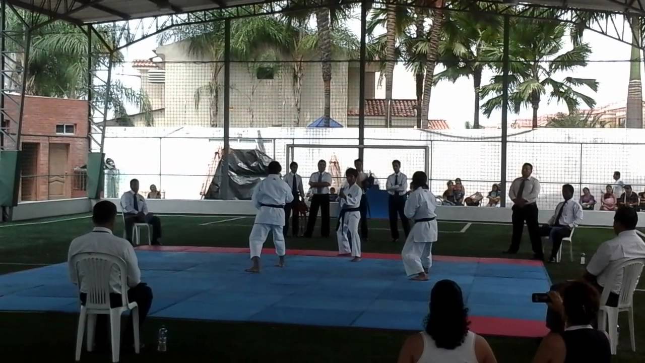 Presentacion De Karate Club Deportivo Diana Quintana 2013 Youtube