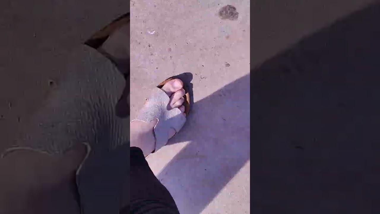 Picnic lunch ASMRDried leaves, paper bag, chirping birds, jet plane and sirens... 