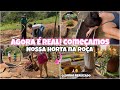FINALMENTE COMEÇAMOS NOSSA HORTA AQUI NA ROÇA 👩🏻‍🌾✨|  AGORA VAI!