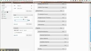 How to Add a Menu Item in WordPress