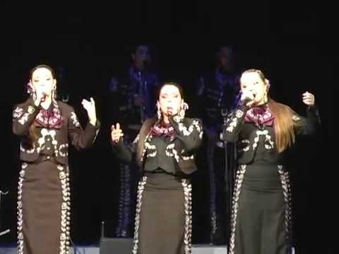Cerca del Mar -McHi Mariachi Oro