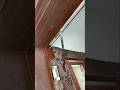 quba hidden door closer installation / hidden door closer
