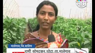 Vandana Somatkar's vegetable shadenet farming success story