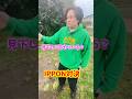 【見下してる？】#shorts