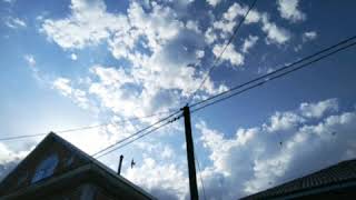 Rafiq Babayev - Əlvida Cover