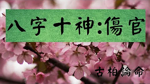 【古柏论命】八字的十神 – 伤官 - 天天要闻