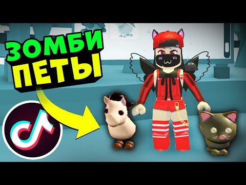 Новые Петы 2022 Года Новые Петы 2022 Года