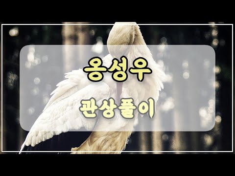 관상과학 옹성우 관상 「뱁새들이 황새 따라가면 가랑이 찢어진다」