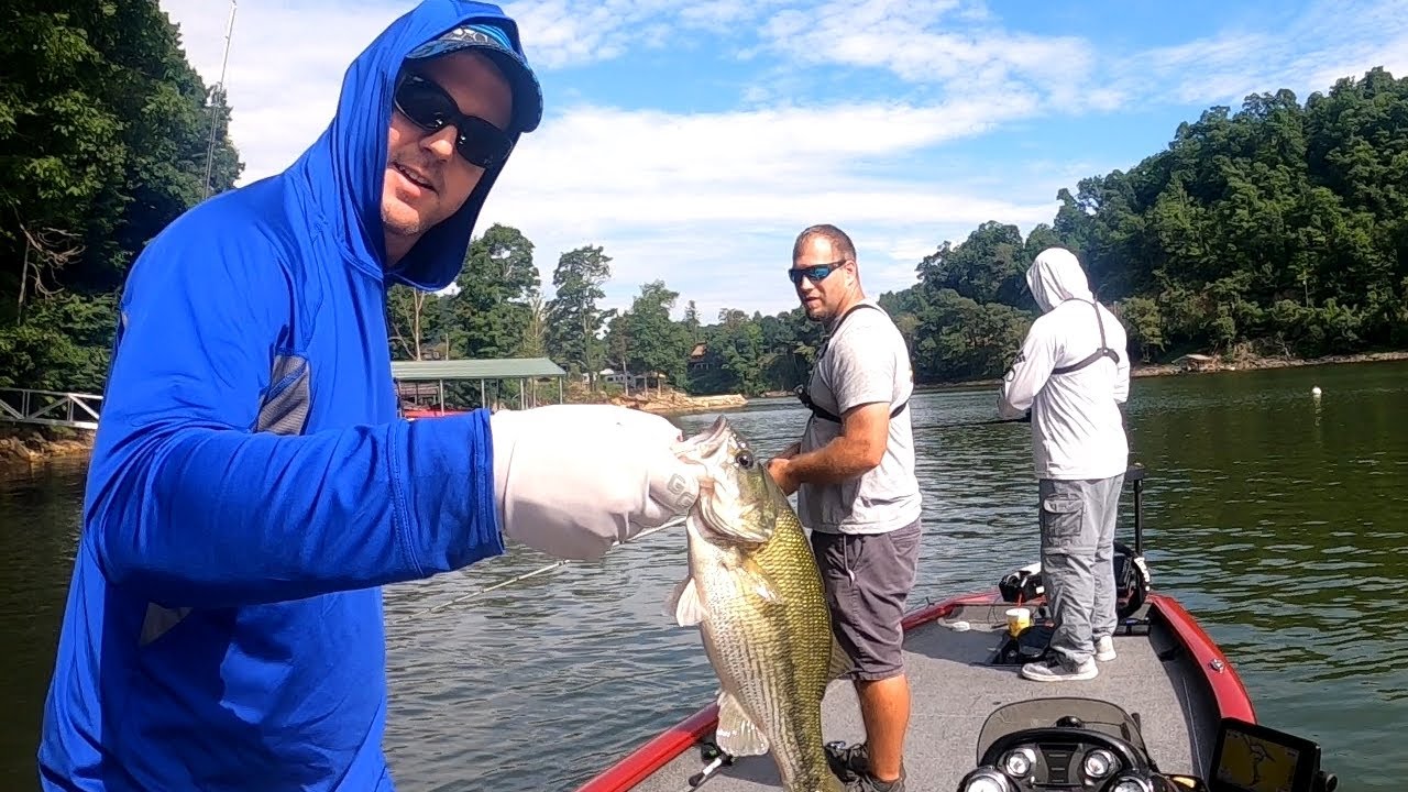 Morning Bass Fishing on Watauga Lake, TN YouTube
