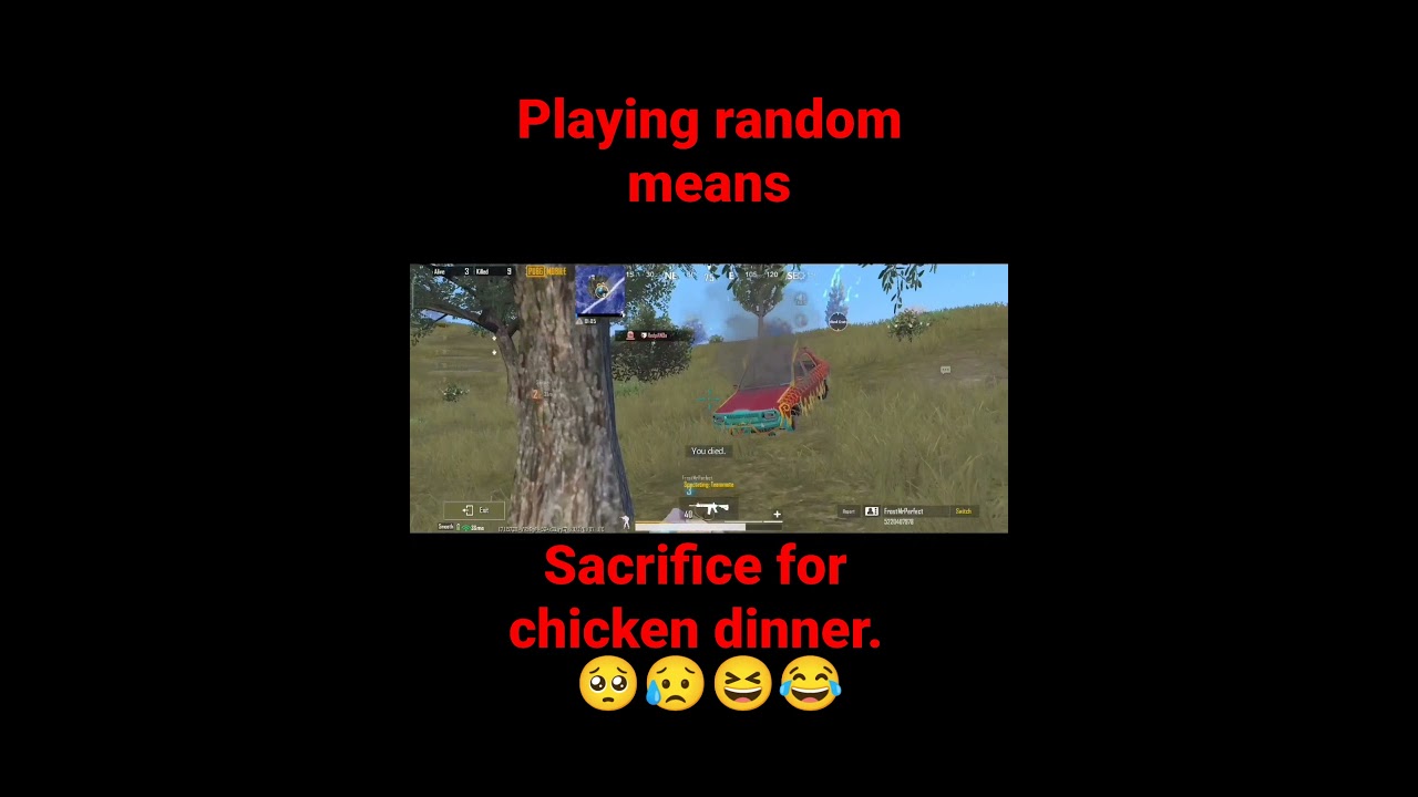 Sacrificing Myself For Chicken Dinner! 