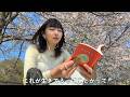 春の一人ピクニック読書。