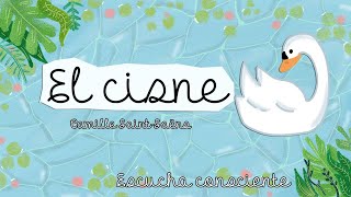 Escucha Consciente El Cisne The Swan - Camille Saint-Saëns
