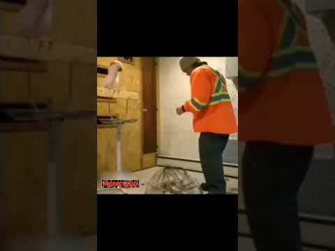 مگه میشه میمی که ویس دکتر استاپ توش باشه خدا نشه