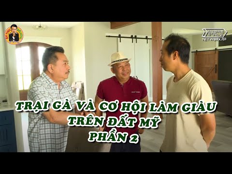 Video Trại Gà Và Cơ Hội Làm Giàu Trên Đất Mỹ Phần 2 |Ẩm Thực... - youtube