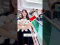 少女の可愛い子犬たち