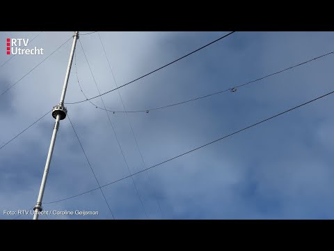 Eerste Lampen de lucht in van de grootste 'kerstboom' ter wereld [RTV Utrecht]