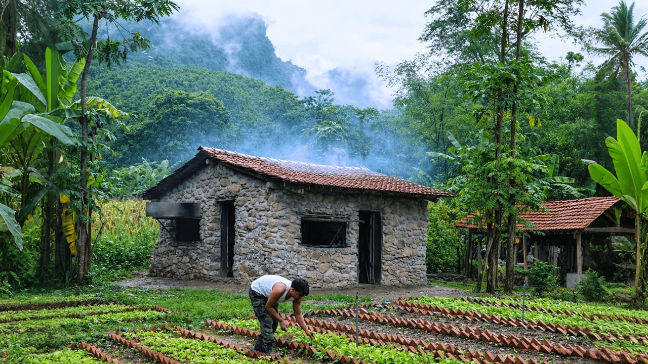 Sinh Tồn Việt Nam - Chàng Trai Một Mình Cải Tạo Lại Căn Nhà Cũ