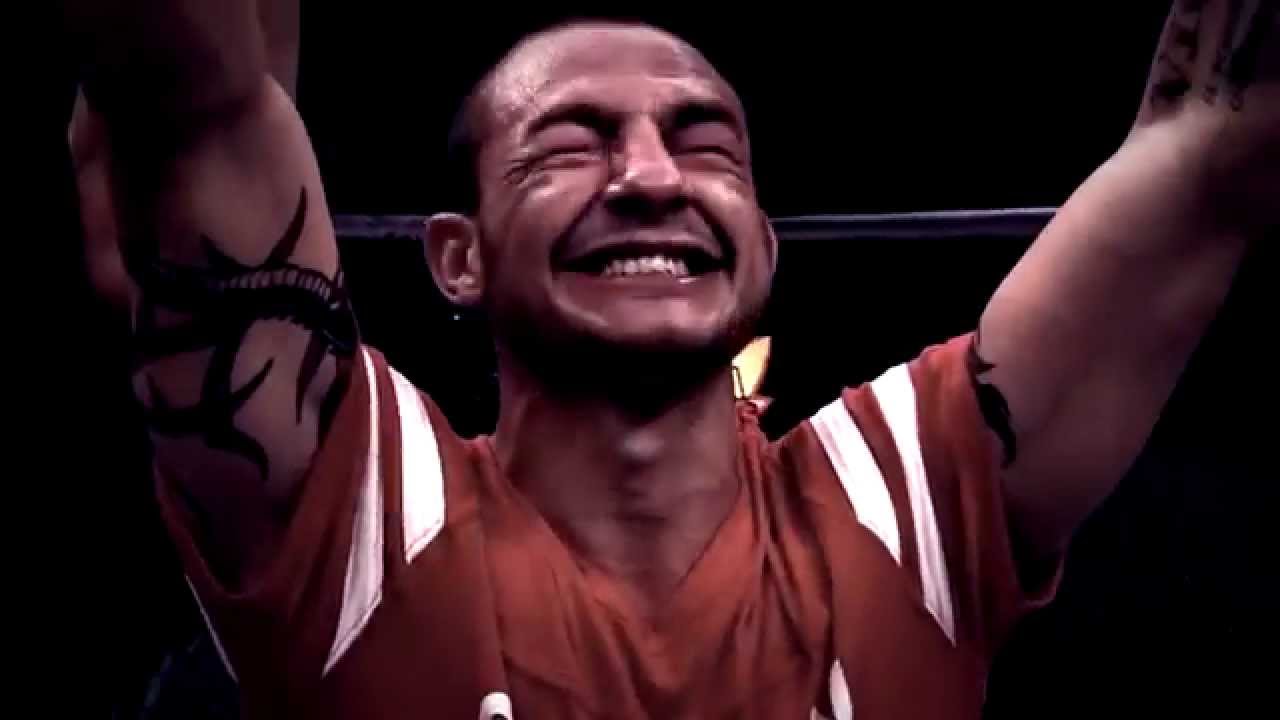 Cub Swanson   Beautiful Destruction   2013 S M S Productions