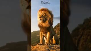 movie, THE lion King#short🐆 movie, THE lion King#short🐆