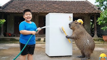 Capy và anh lau tủ lạnh giúp bà và cái kết #capybara