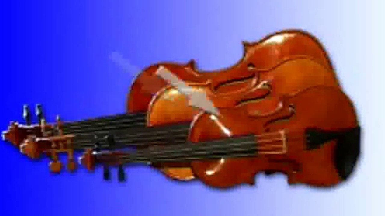 Geigenbau im vogtländischen Musikwinkel